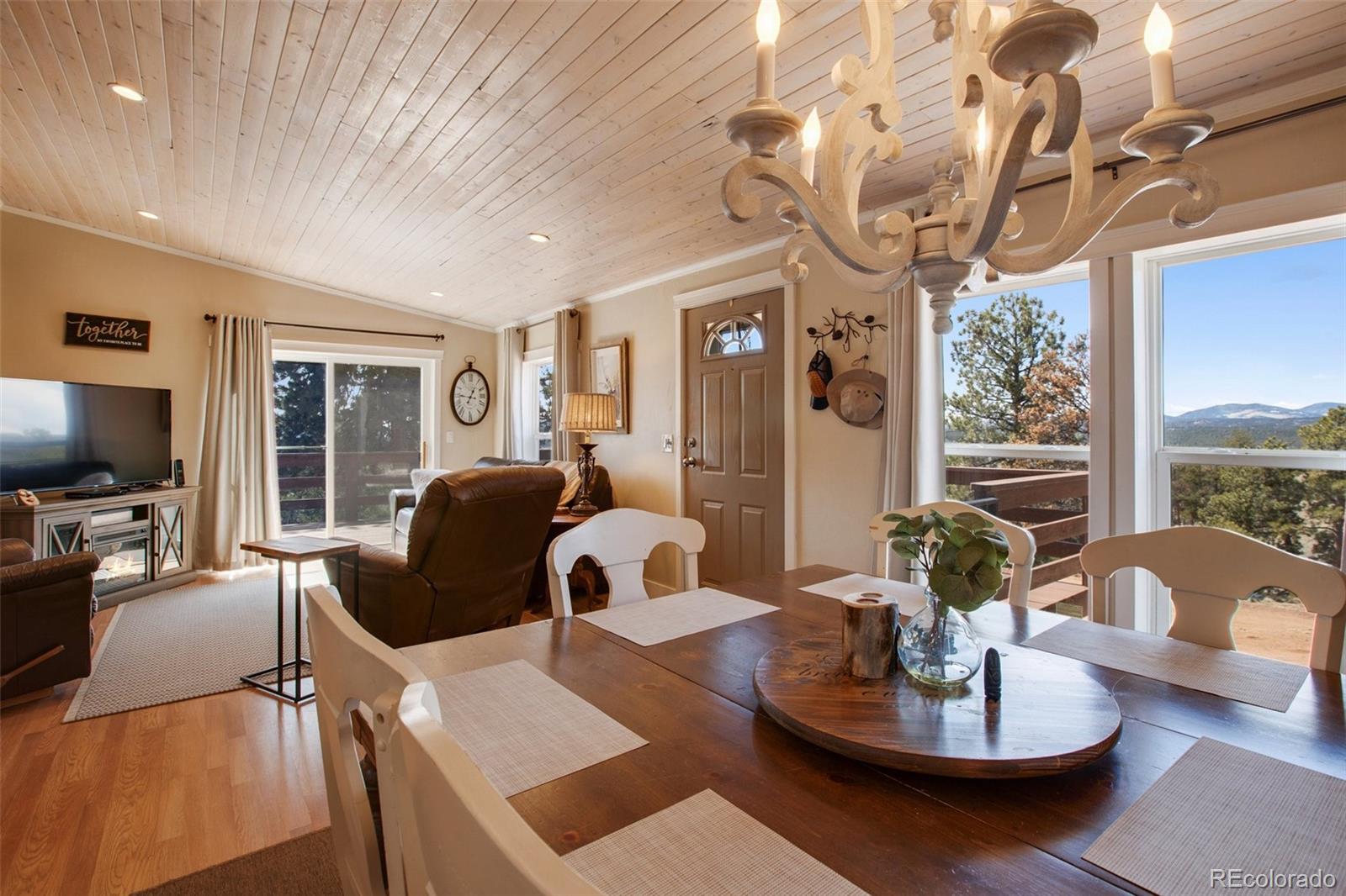 MLS Image #17 for 270  southgate circle,florissant, Colorado