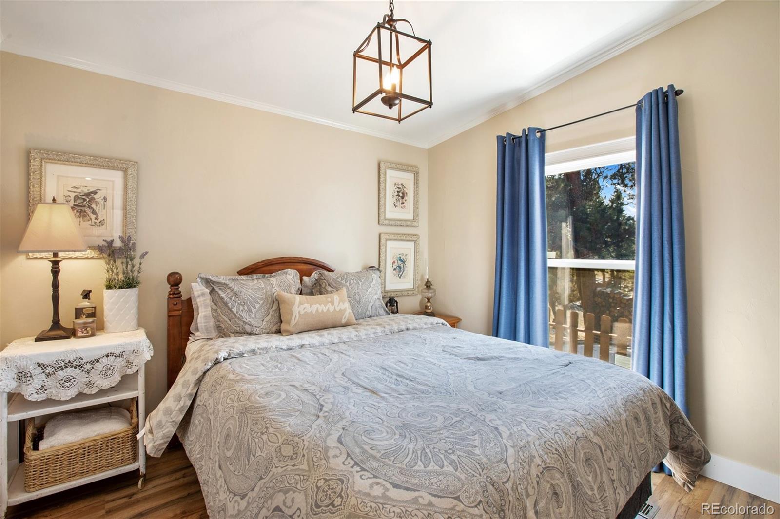 MLS Image #24 for 270  southgate circle,florissant, Colorado