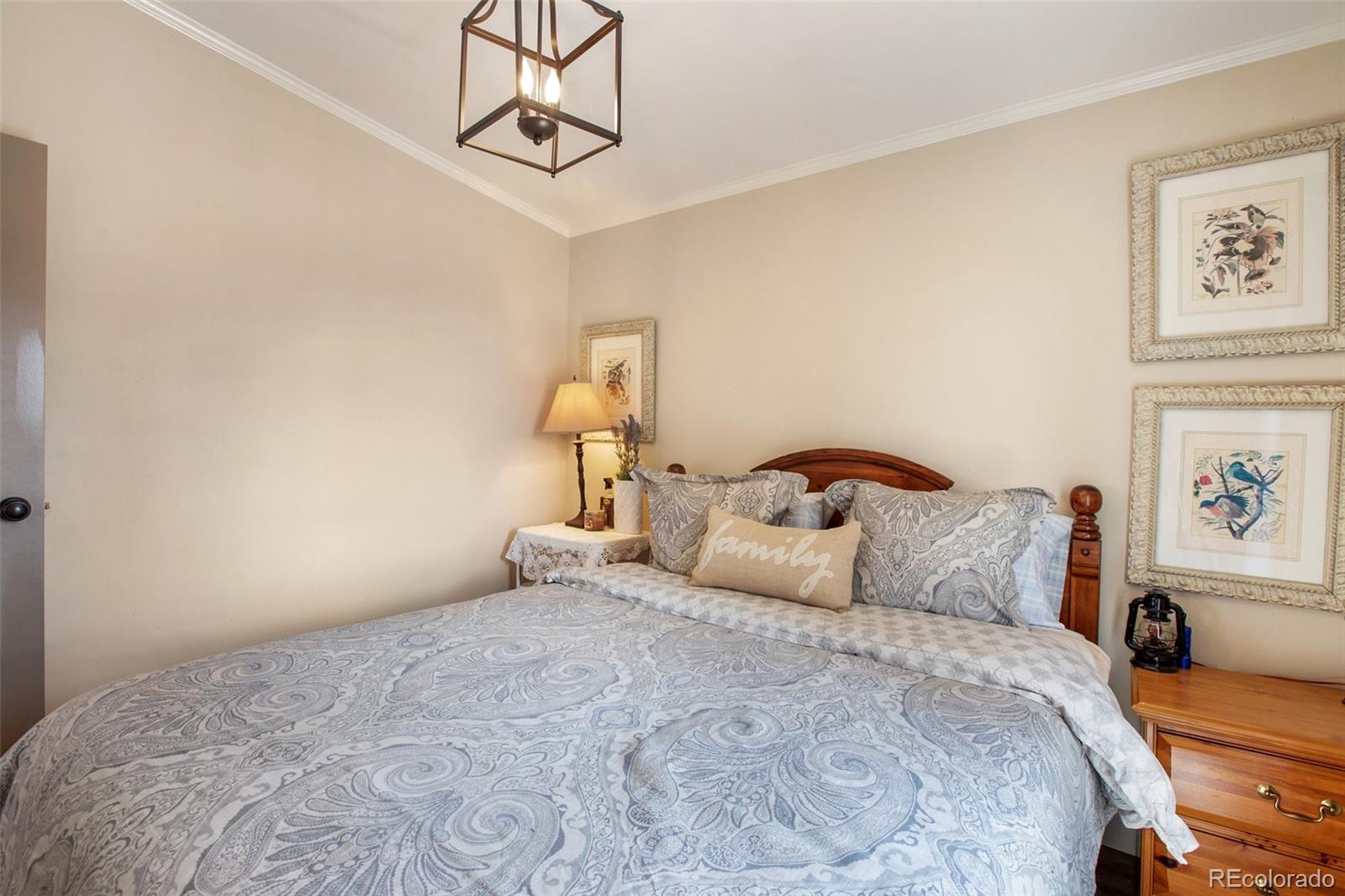 MLS Image #25 for 270  southgate circle,florissant, Colorado