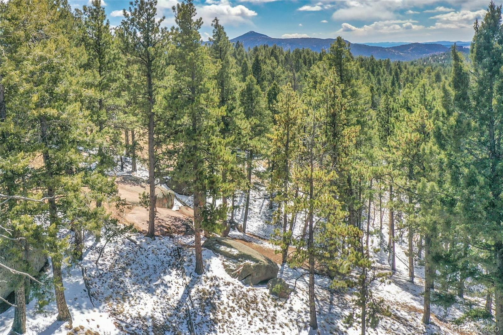 MLS Image #38 for 270  southgate circle,florissant, Colorado