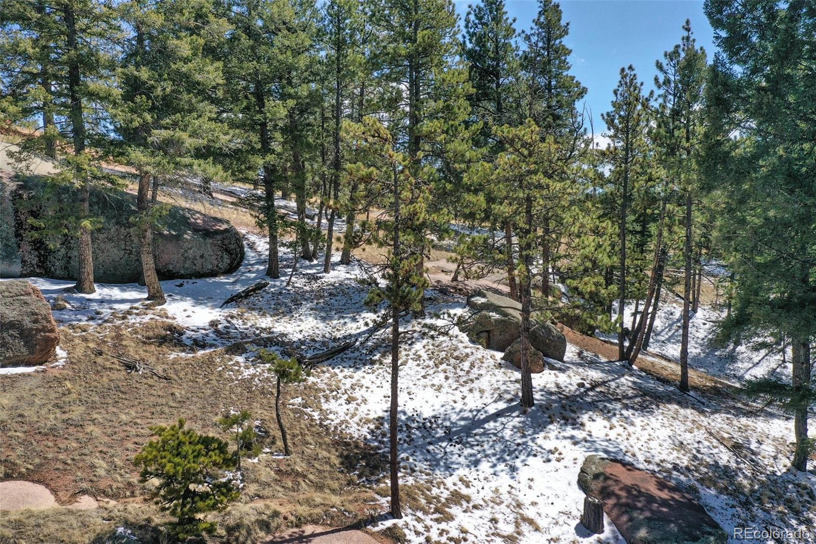MLS Image #43 for 270  southgate circle,florissant, Colorado