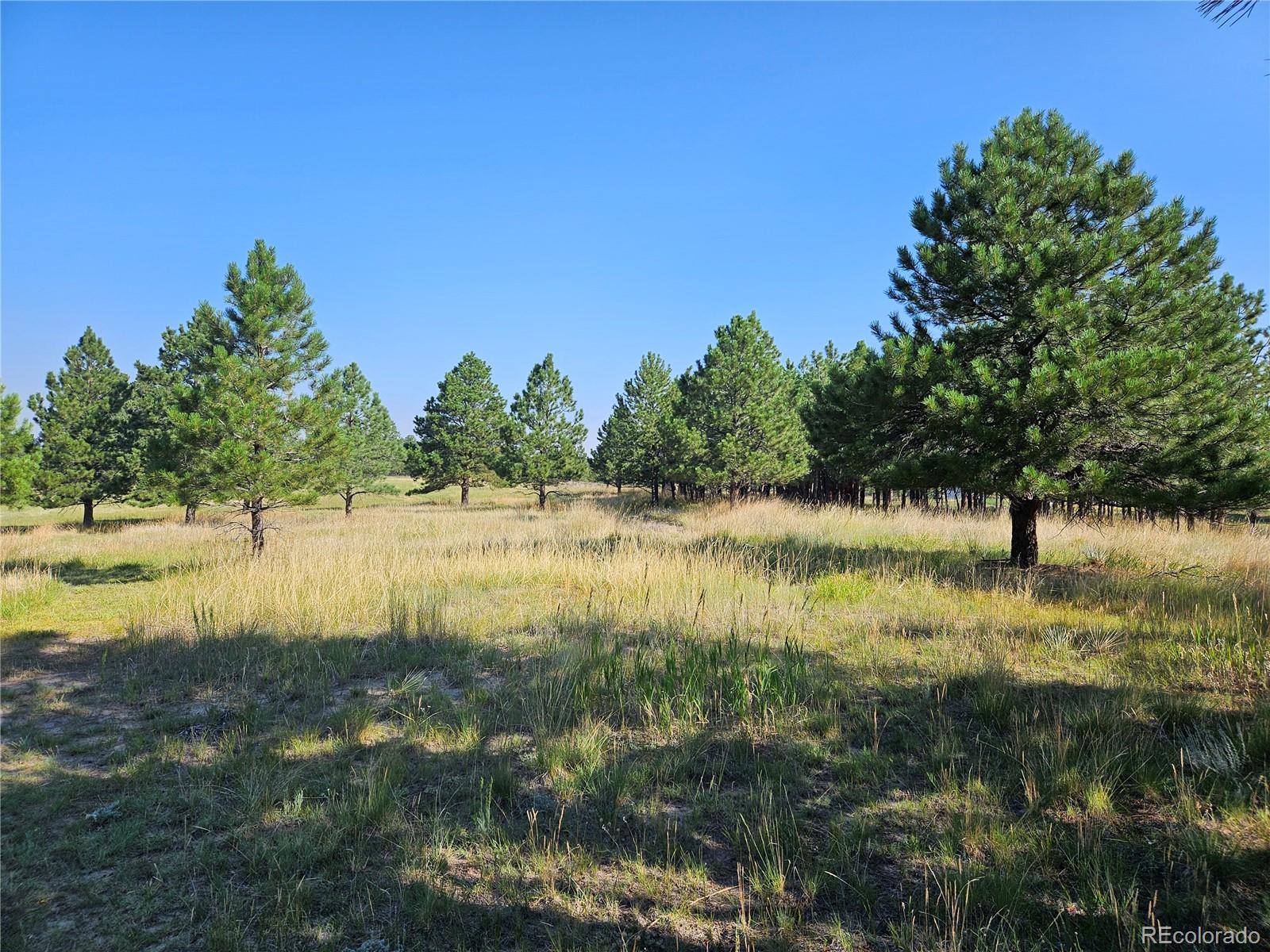 MLS Image #42 for 12246  wilderness drive,kiowa, Colorado