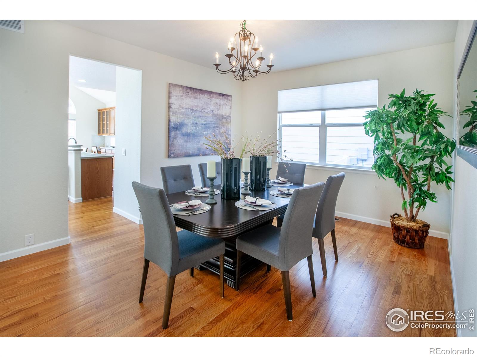 MLS Image #10 for 1708  roma court,longmont, Colorado