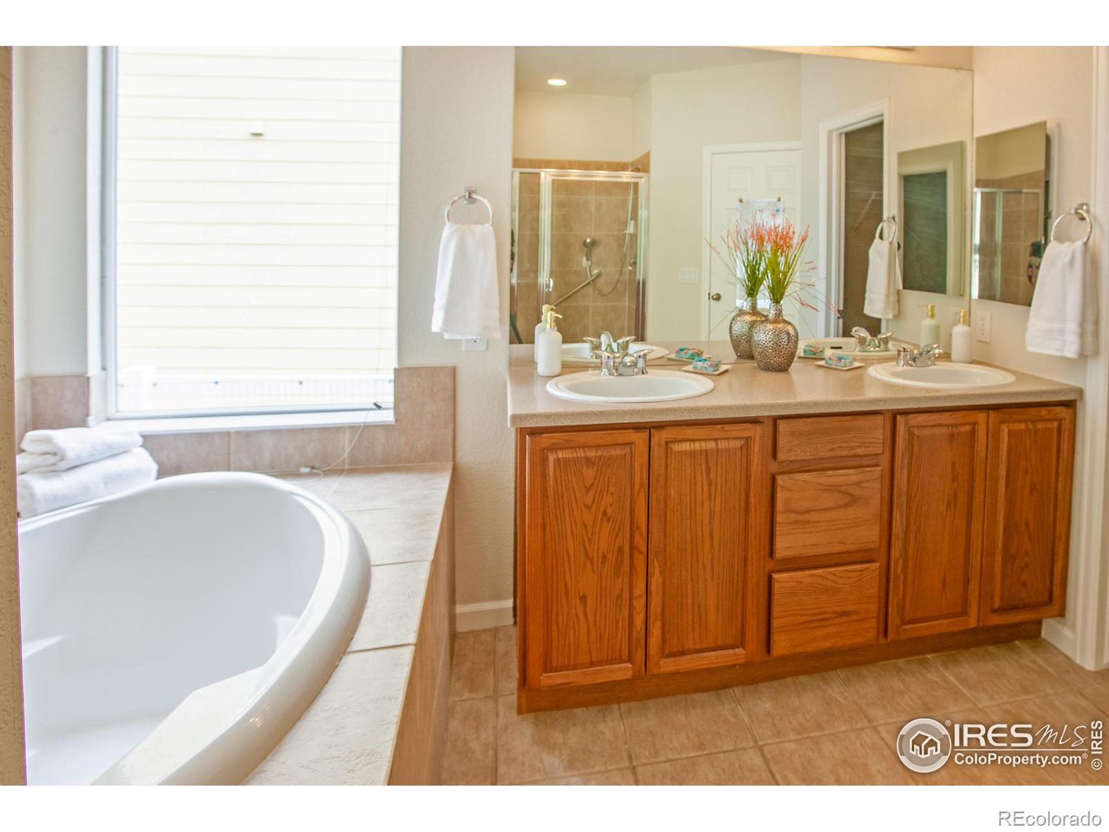 MLS Image #15 for 1708  roma court,longmont, Colorado