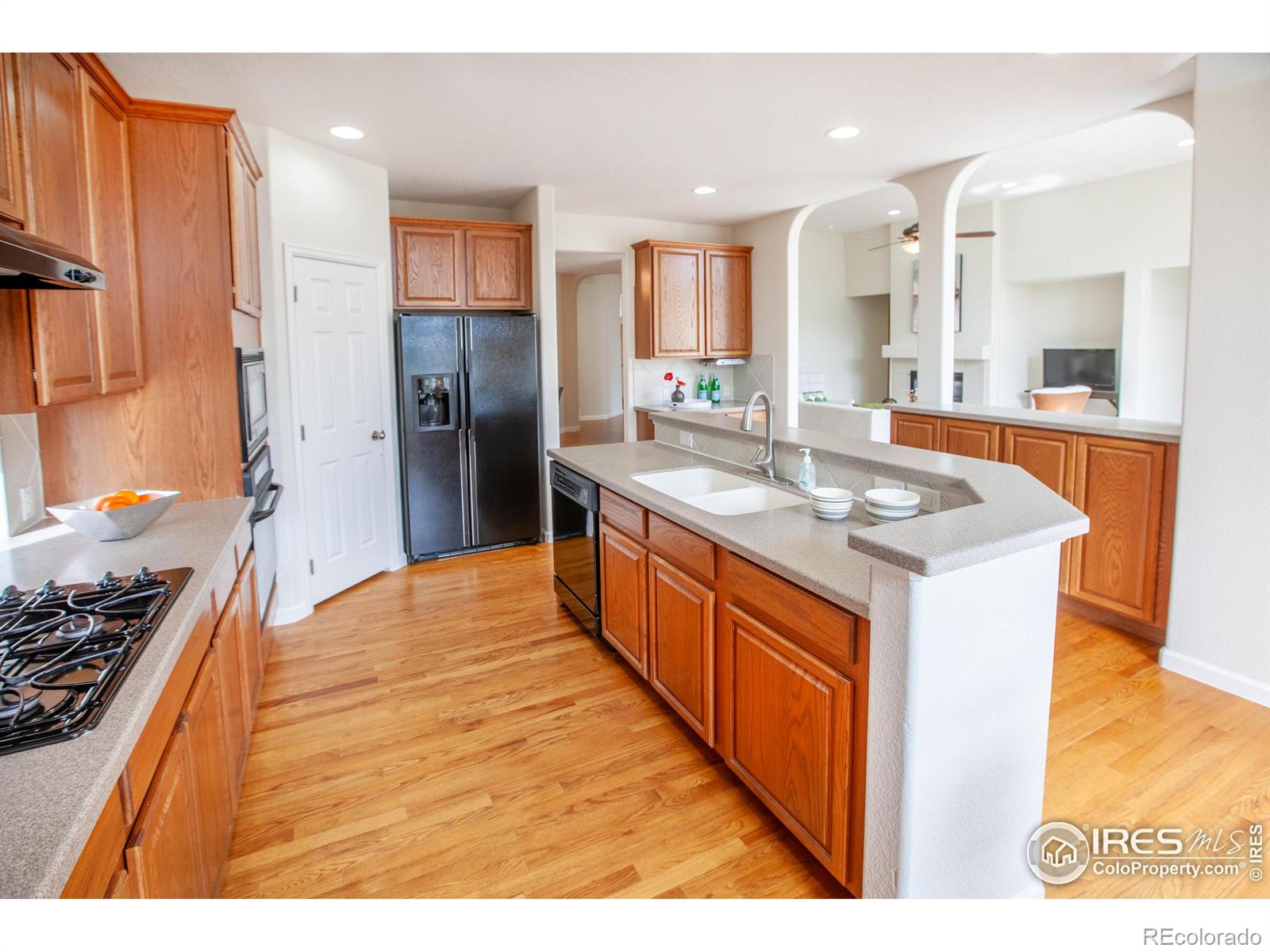 MLS Image #6 for 1708  roma court,longmont, Colorado