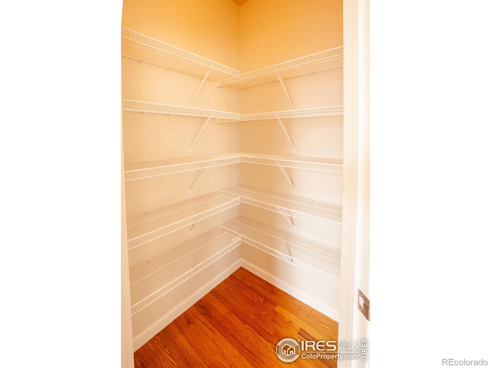 MLS Image #7 for 1708  roma court,longmont, Colorado