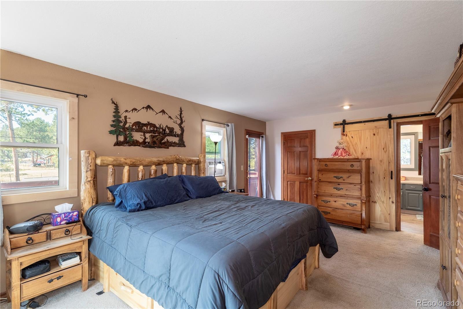 MLS Image #10 for 1600  navajo trail,woodland park, Colorado