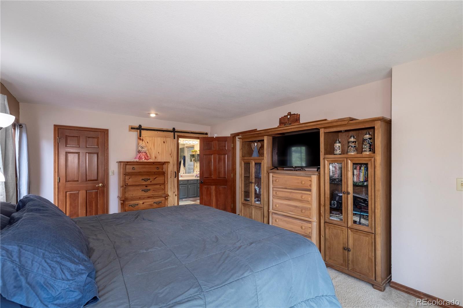 MLS Image #11 for 1600  navajo trail,woodland park, Colorado
