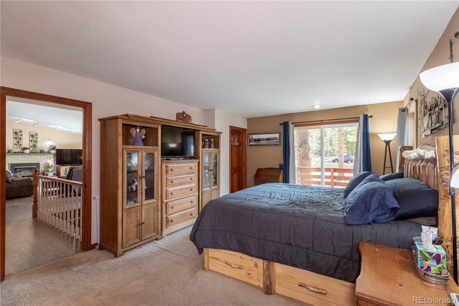 MLS Image #12 for 1600  navajo trail,woodland park, Colorado