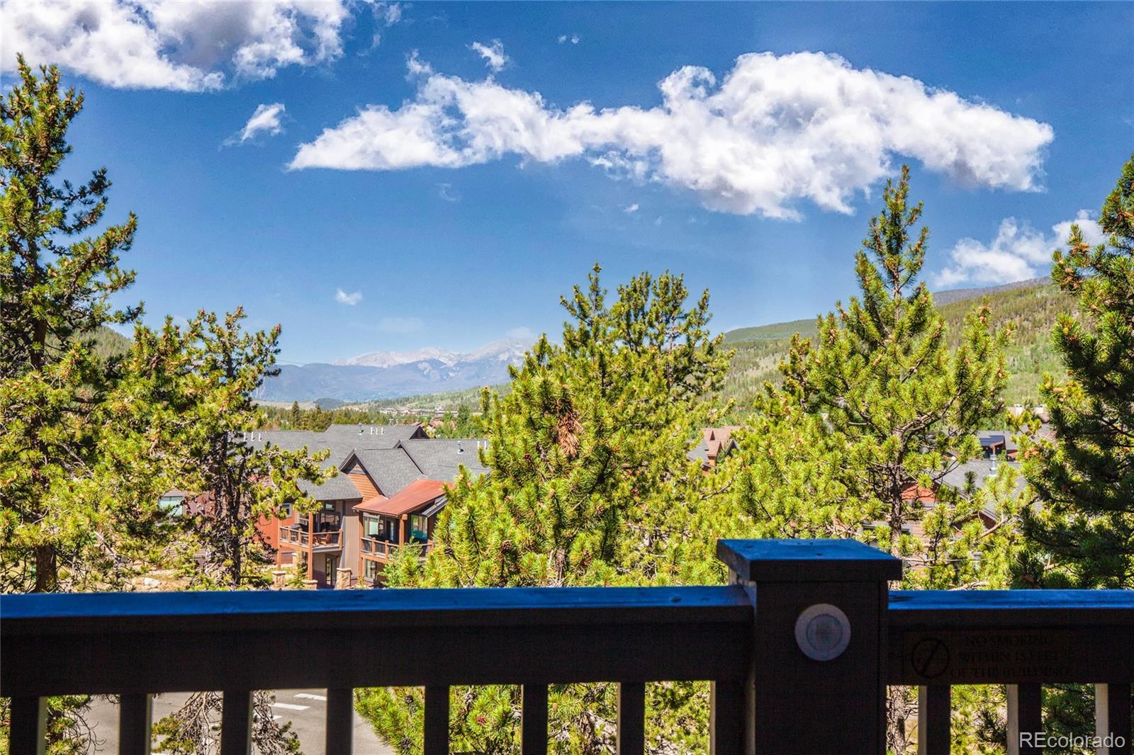 MLS Image #3 for 135  dercum drive,dillon, Colorado