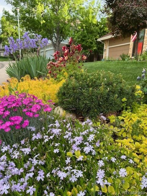 MLS Image #47 for 6150 w pacific circle,lakewood, Colorado