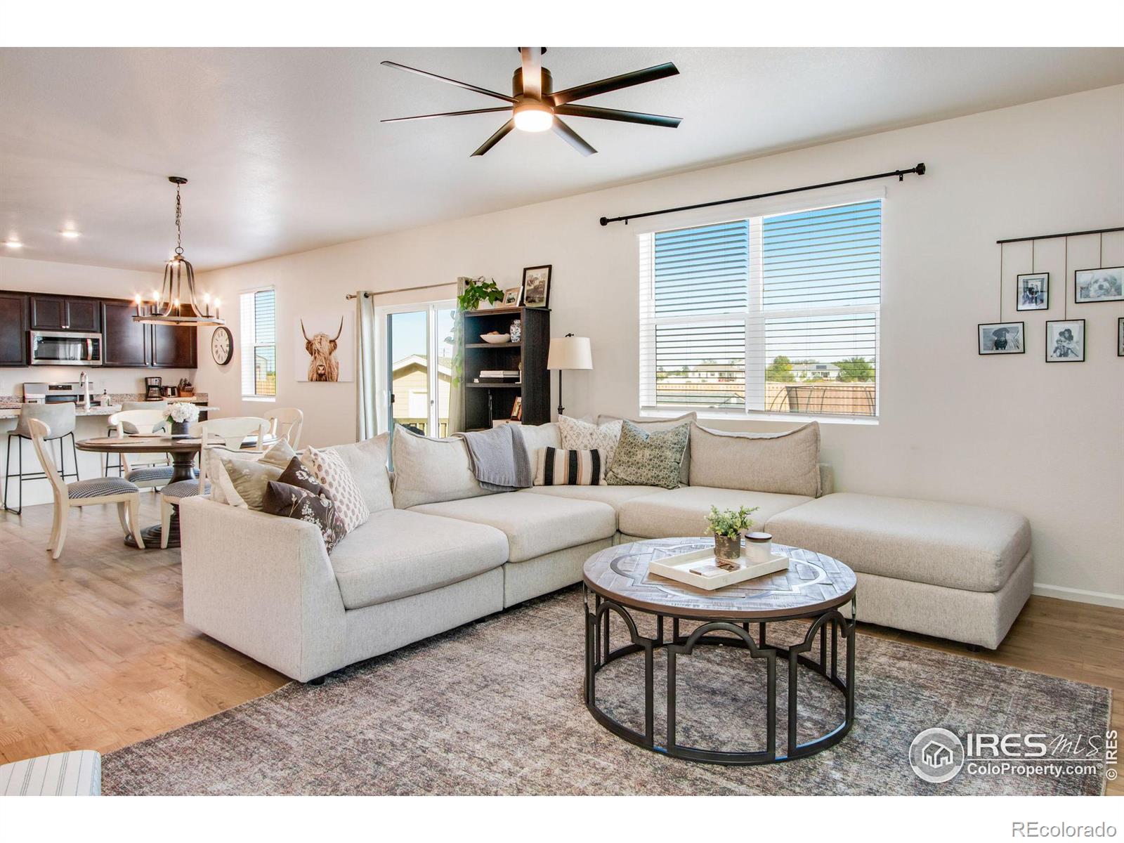 MLS Image #10 for 164  haymaker lane,severance, Colorado