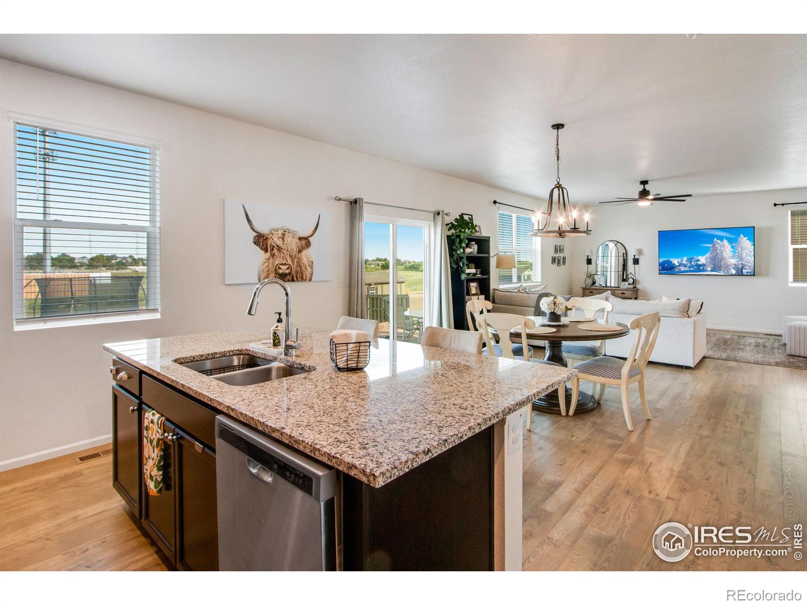 MLS Image #20 for 164  haymaker lane,severance, Colorado