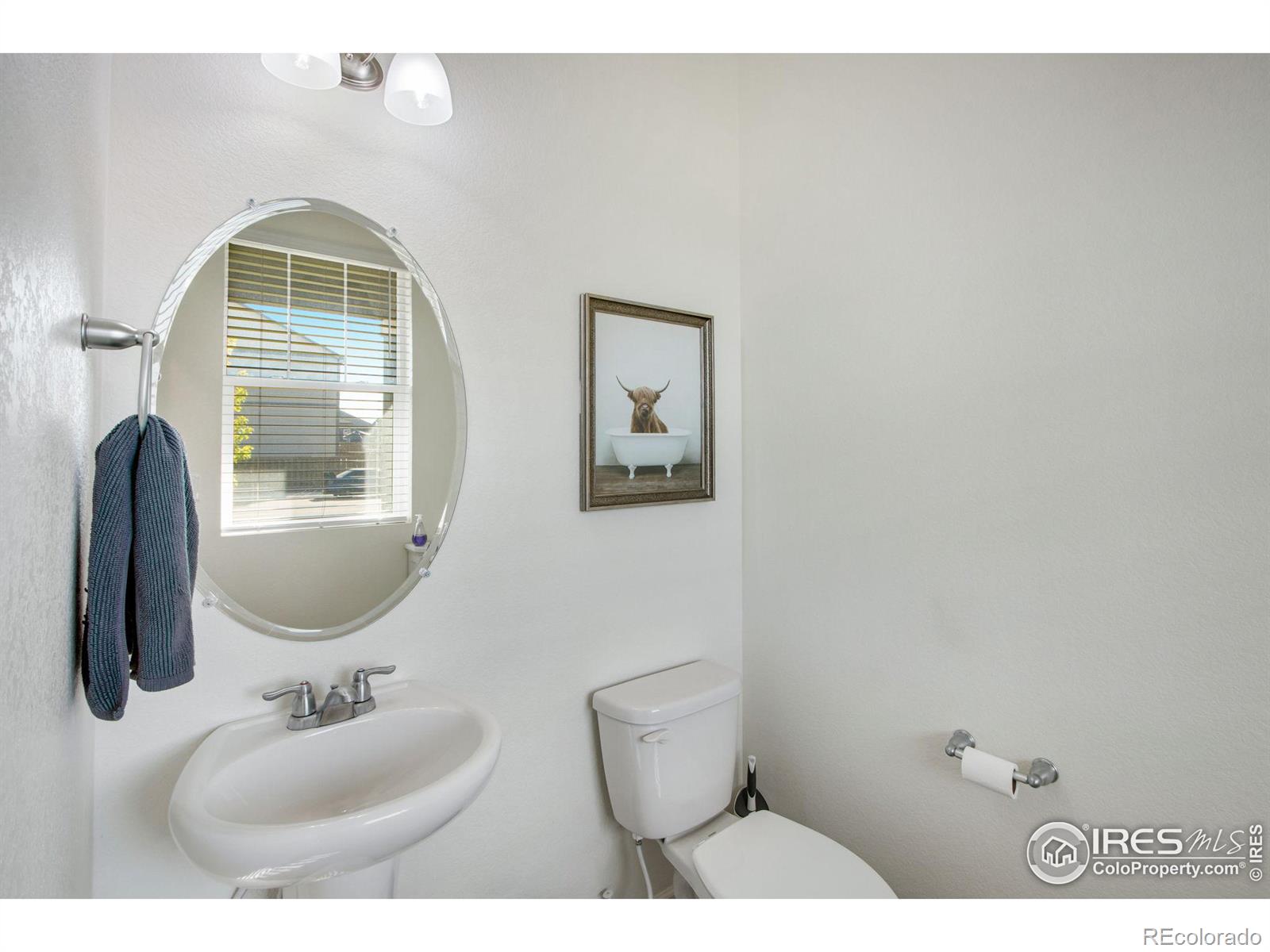 MLS Image #22 for 164  haymaker lane,severance, Colorado