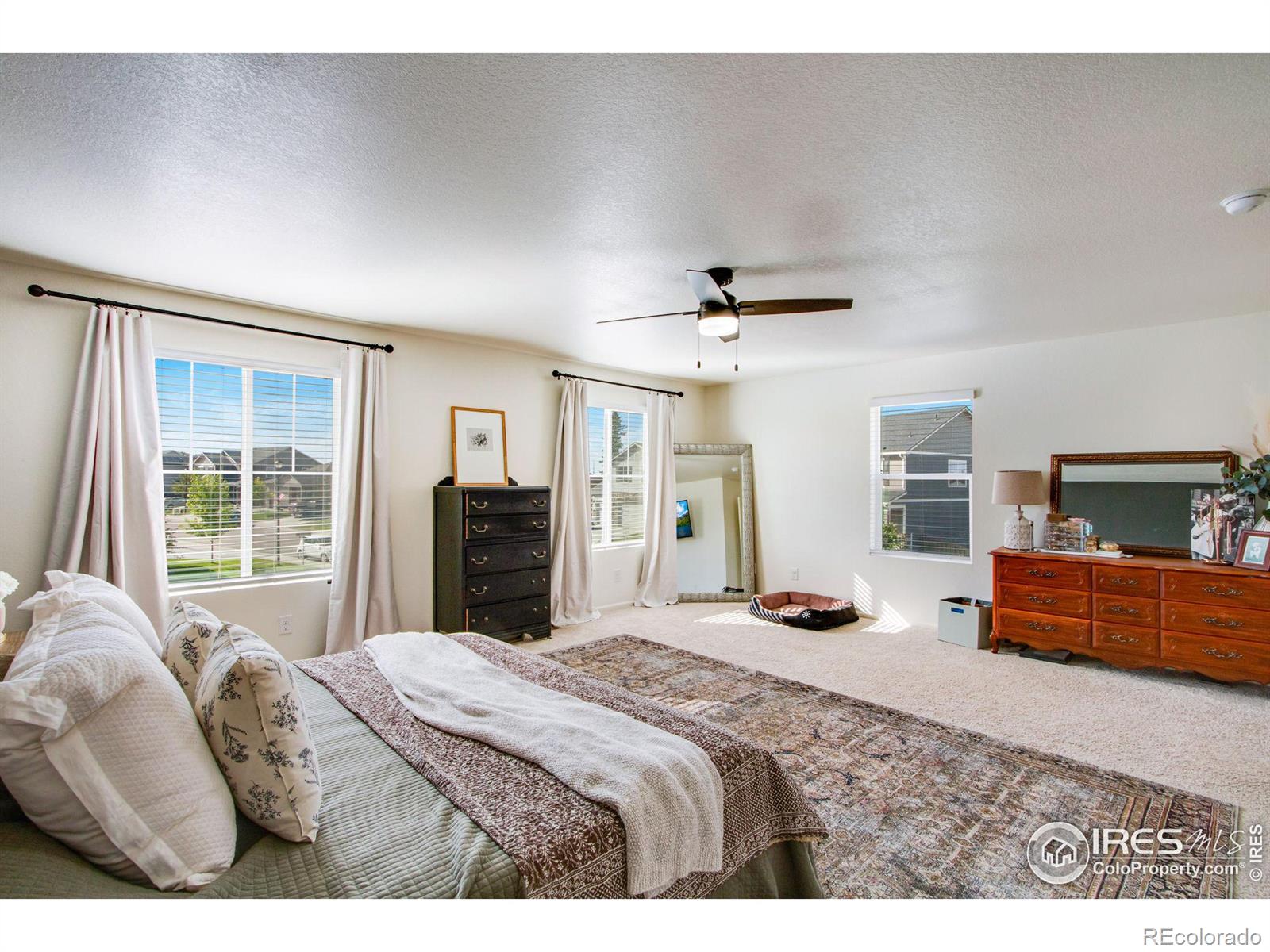 MLS Image #25 for 164  haymaker lane,severance, Colorado