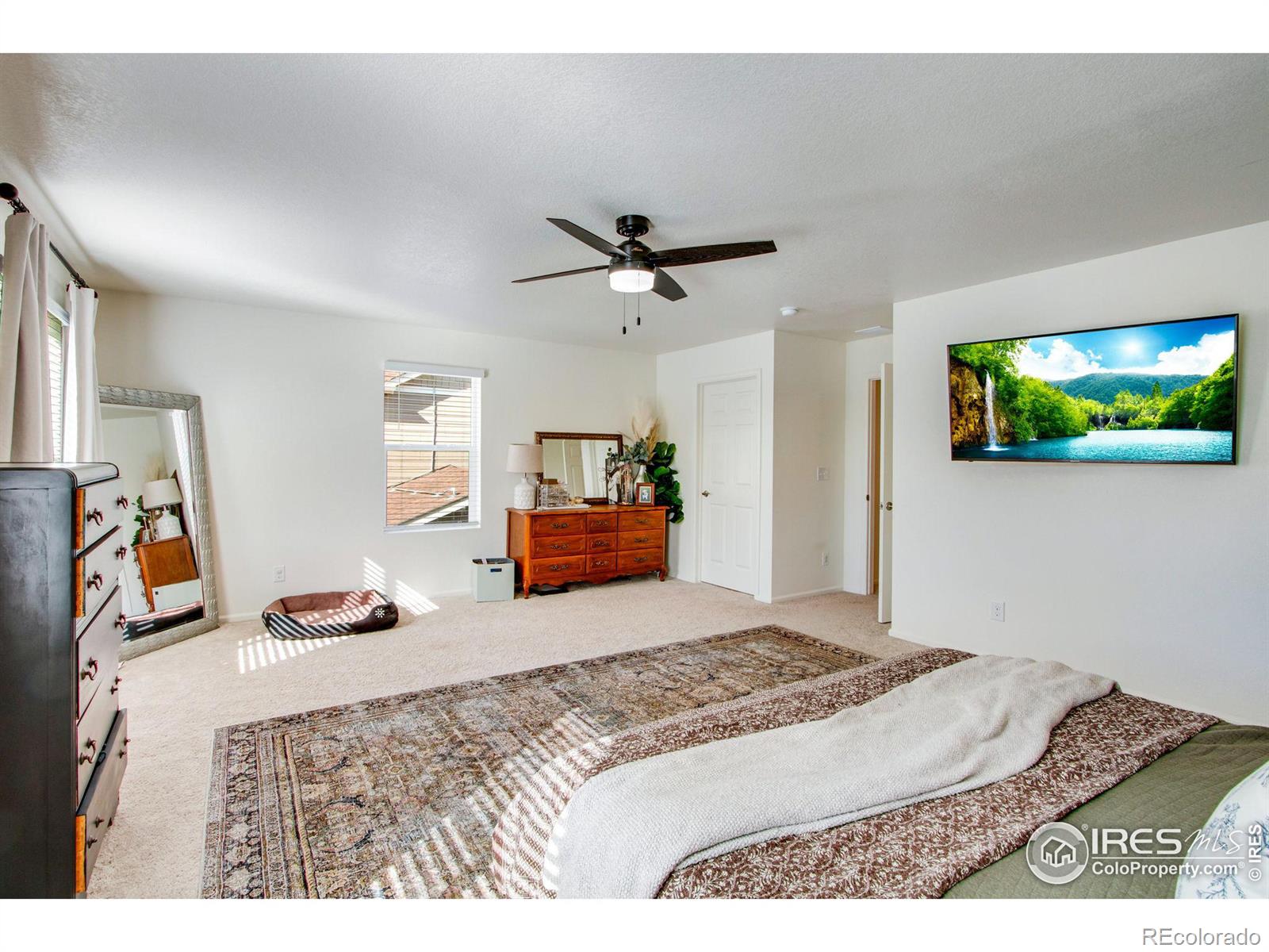MLS Image #26 for 164  haymaker lane,severance, Colorado