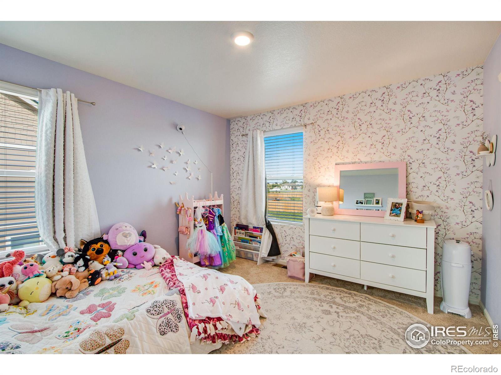 MLS Image #28 for 164  haymaker lane,severance, Colorado
