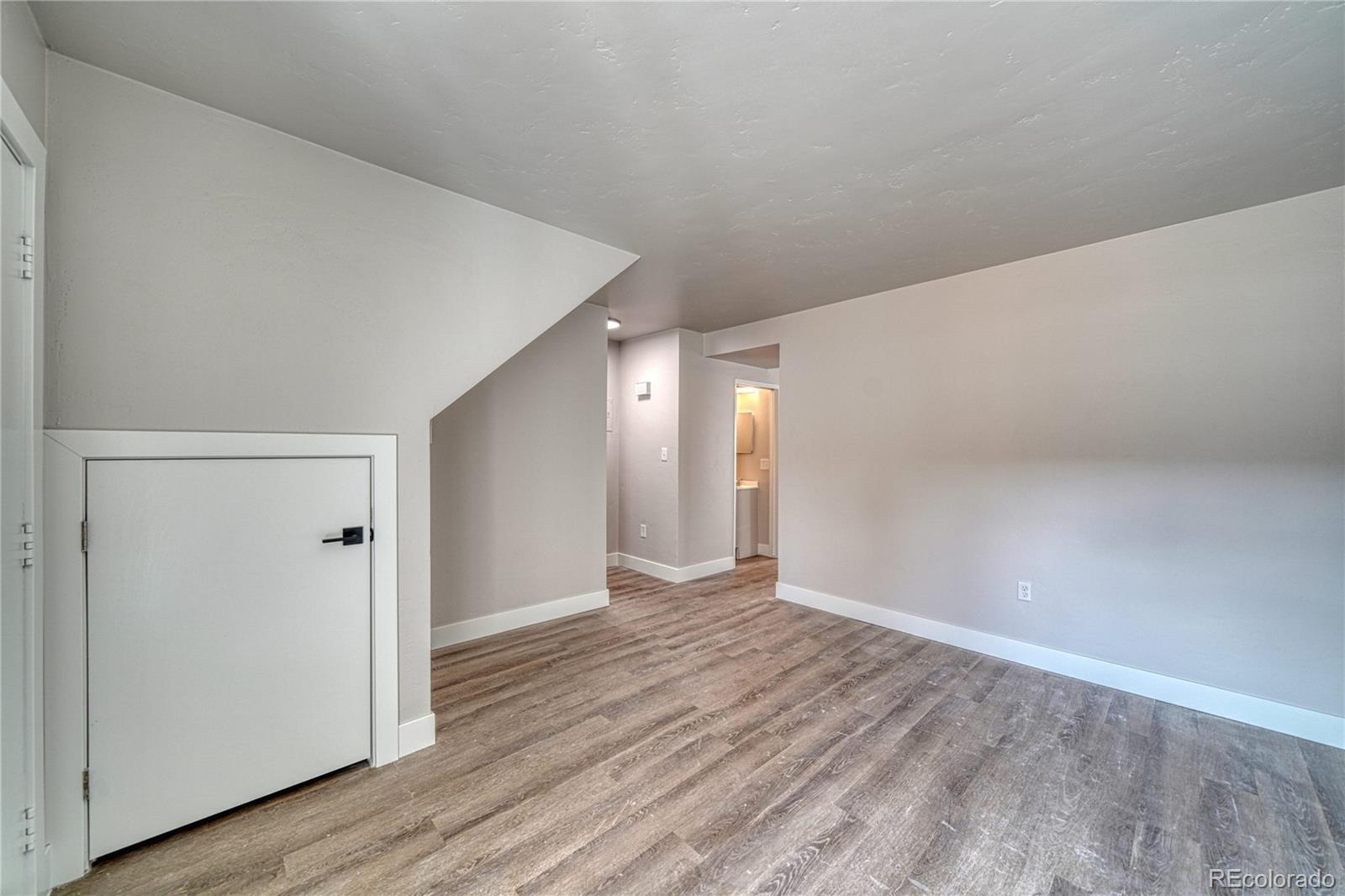 MLS Image #5 for 921  mt massive drive,leadville, Colorado