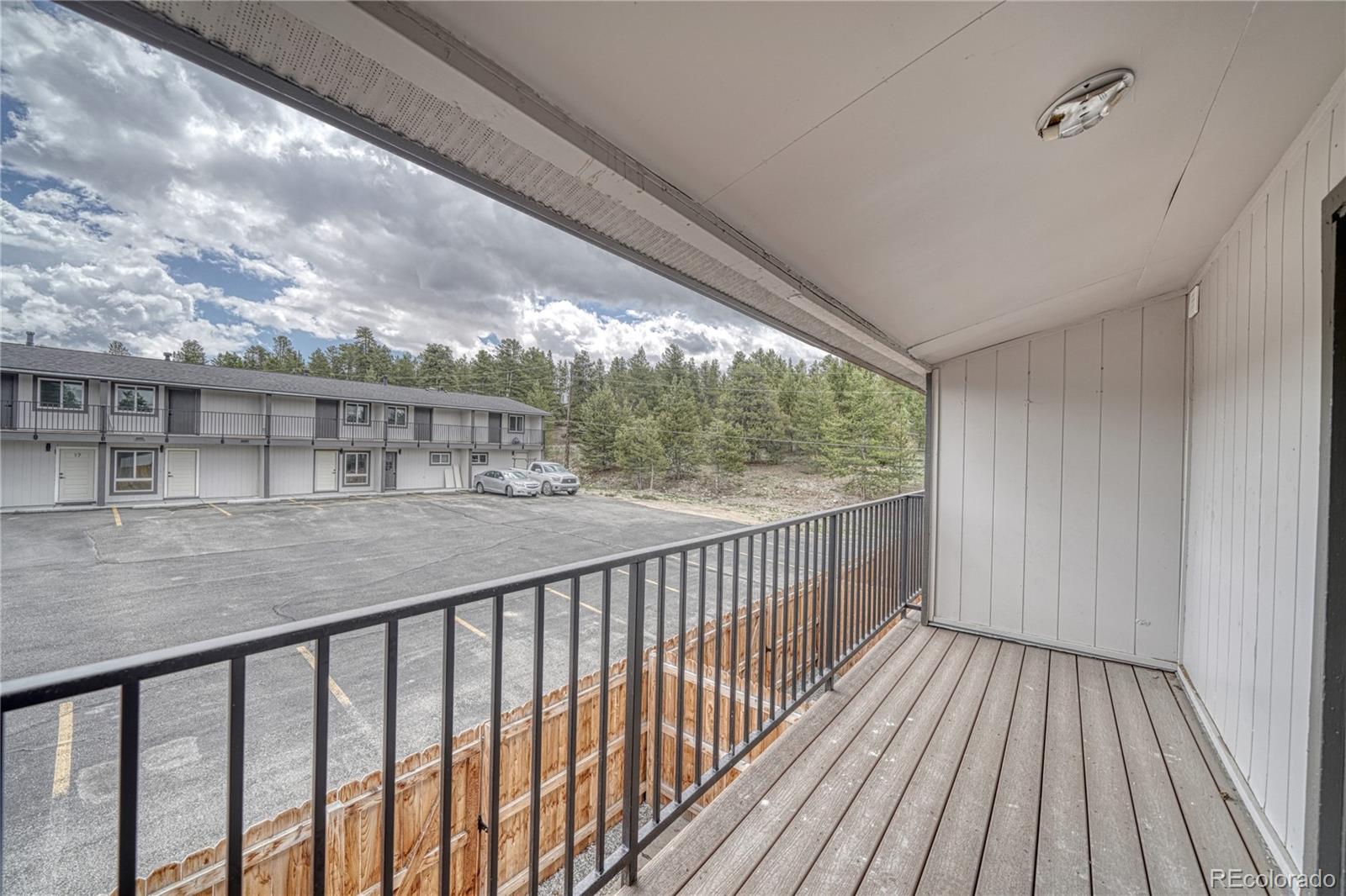 MLS Image #9 for 921  mt massive drive,leadville, Colorado