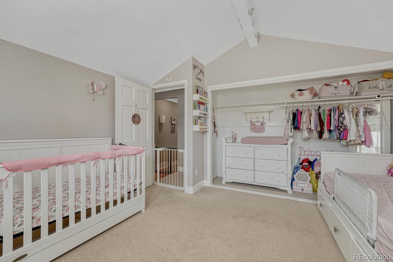 MLS Image #23 for 7444 s milwaukee court,centennial, Colorado