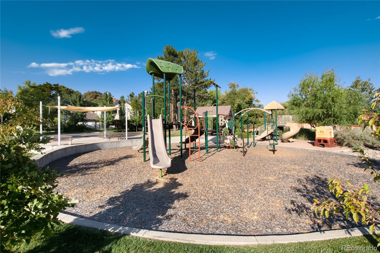 MLS Image #49 for 7444 s milwaukee court,centennial, Colorado