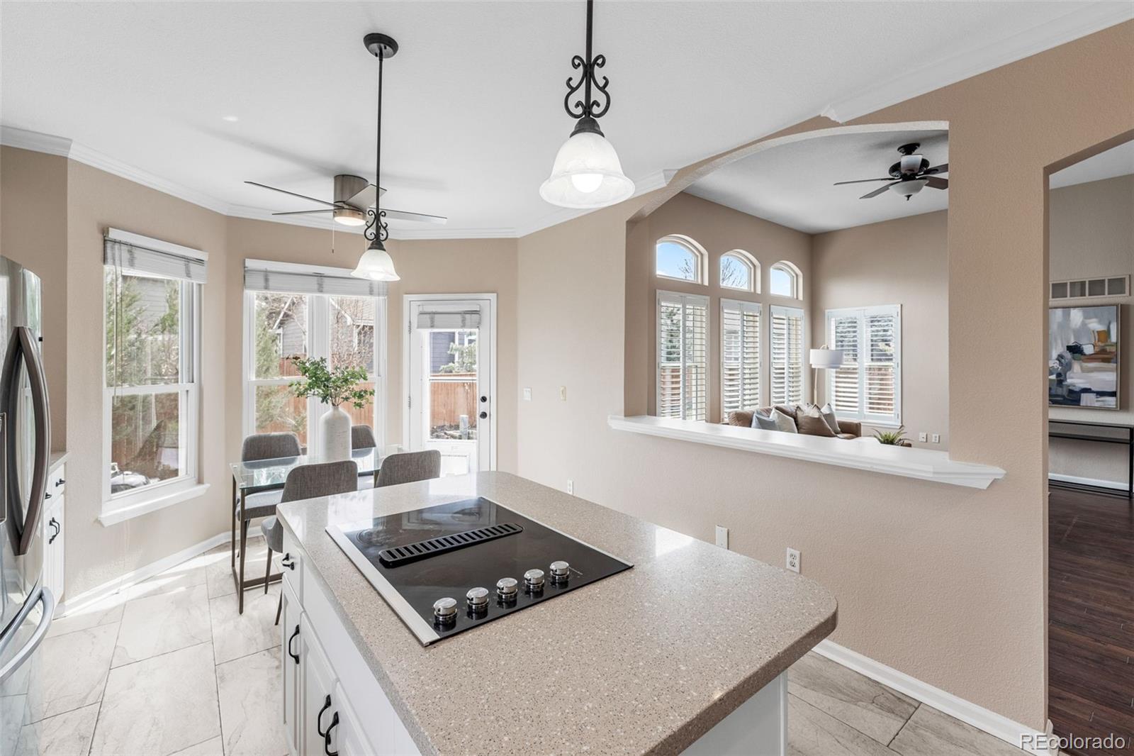 MLS Image #12 for 10606  cottoneaster way,parker, Colorado