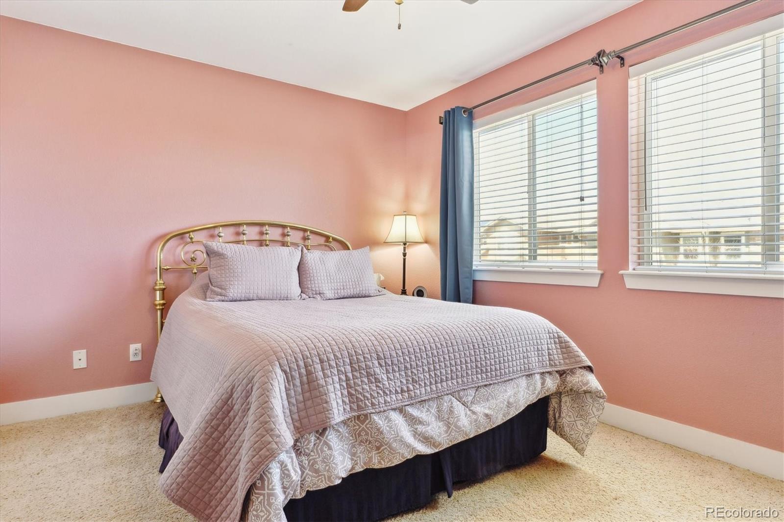 MLS Image #12 for 10546  rutledge street,parker, Colorado
