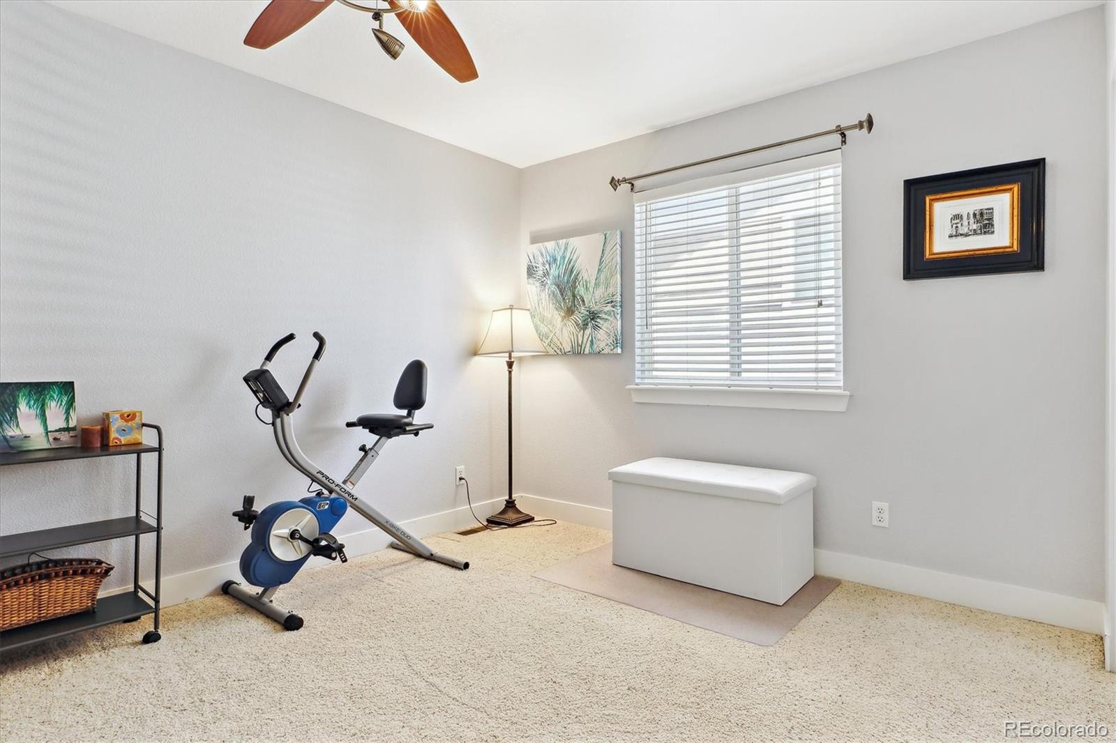 MLS Image #16 for 10546  rutledge street,parker, Colorado