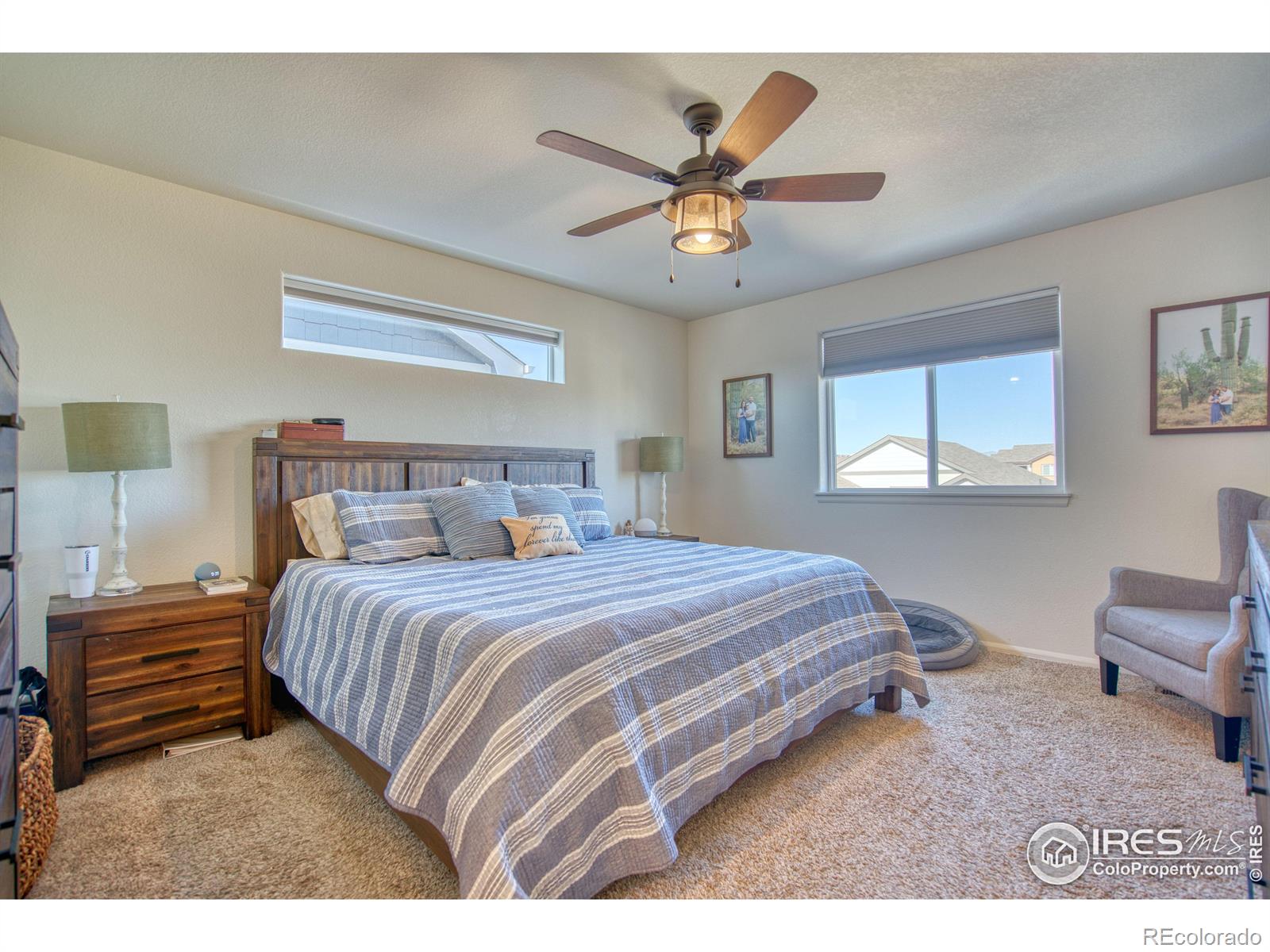 MLS Image #13 for 1638  thrive drive,windsor, Colorado