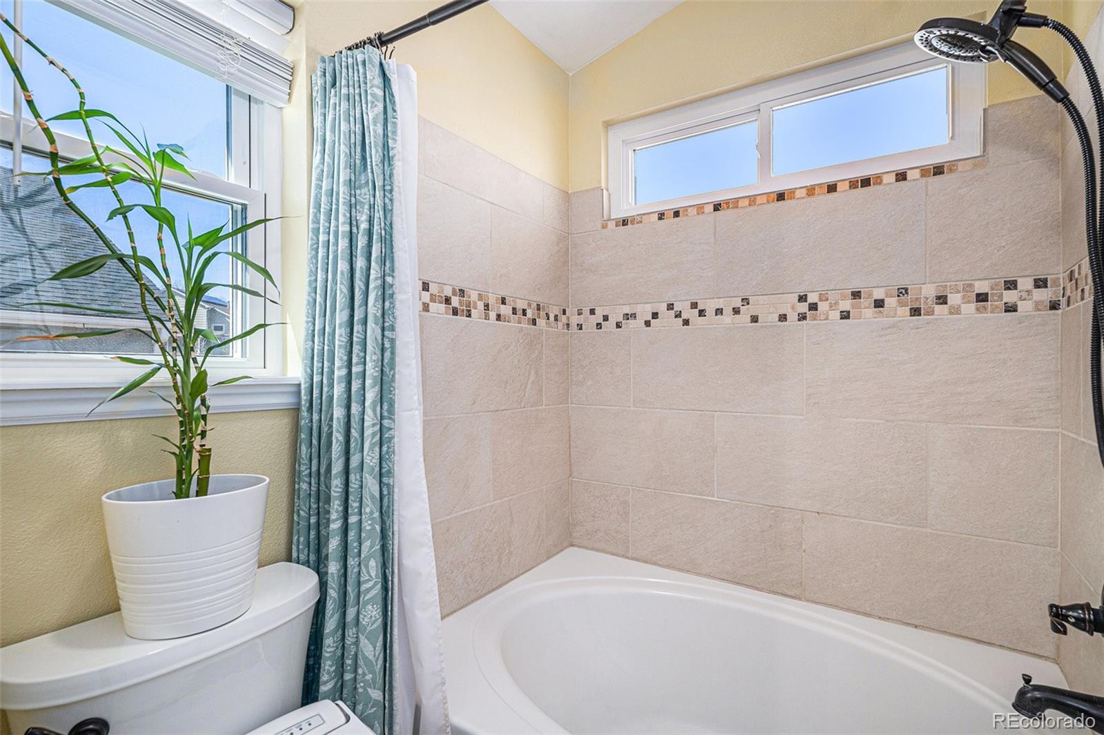MLS Image #17 for 16277  blueleaf place,parker, Colorado