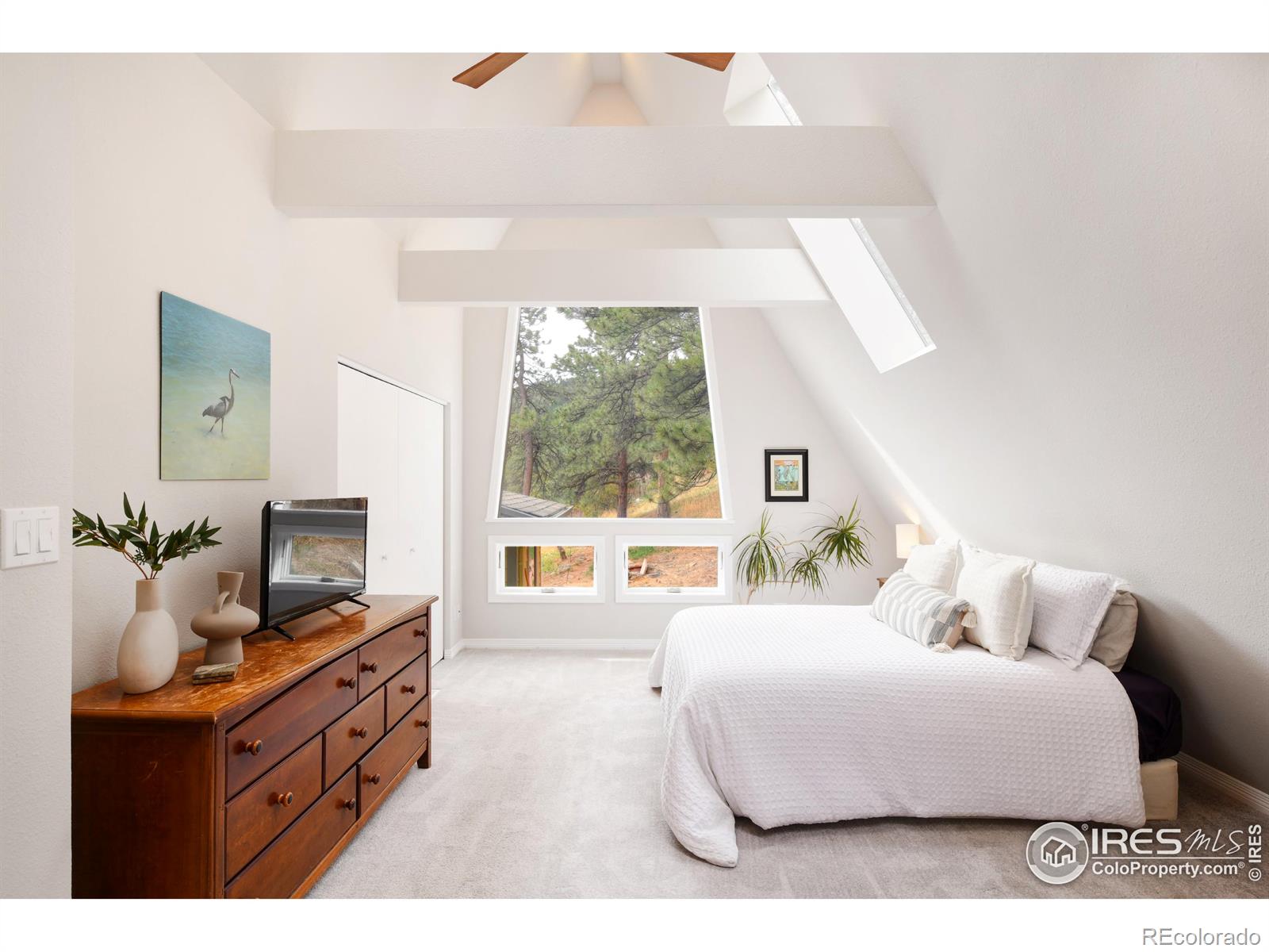 MLS Image #10 for 546  flint gulch road,lyons, Colorado