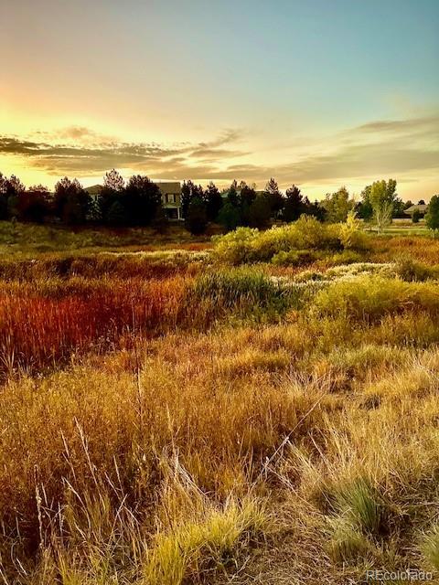 MLS Image #29 for 3395  starry night loop,castle rock, Colorado