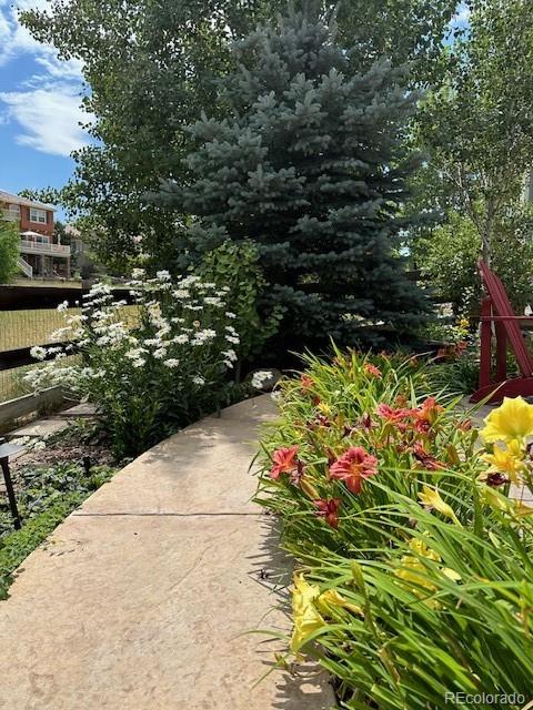 MLS Image #31 for 3395  starry night loop,castle rock, Colorado