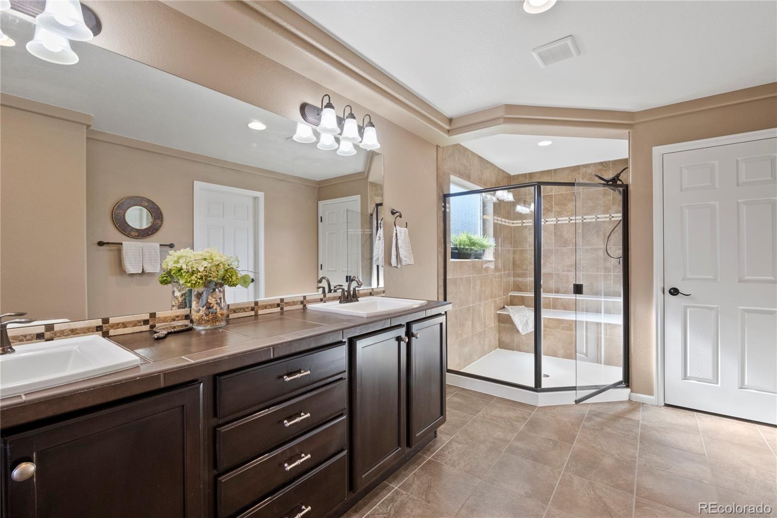 MLS Image #8 for 3395  starry night loop,castle rock, Colorado