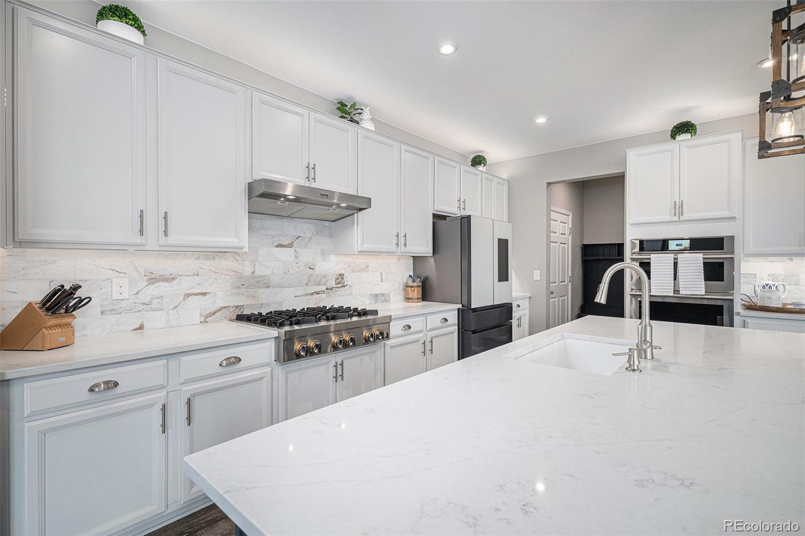 MLS Image #12 for 9342  bear river street,littleton, Colorado
