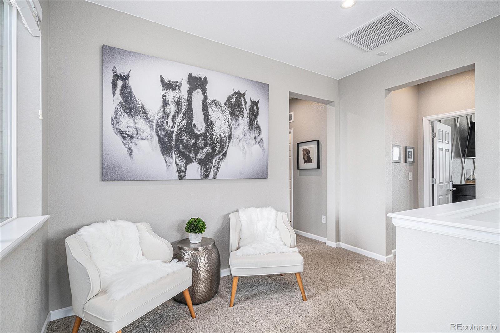 MLS Image #19 for 9342  bear river street,littleton, Colorado