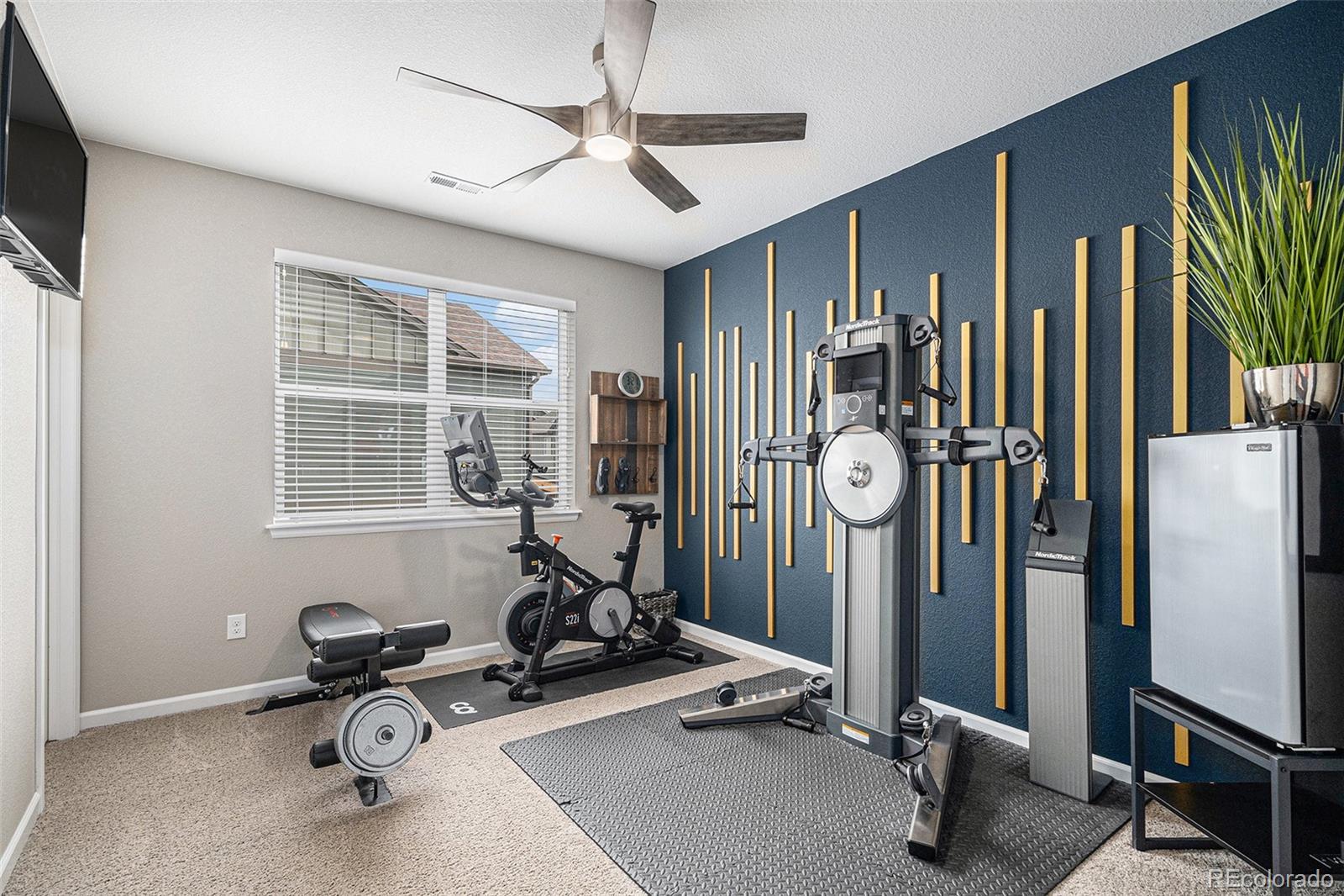 MLS Image #29 for 9342  bear river street,littleton, Colorado