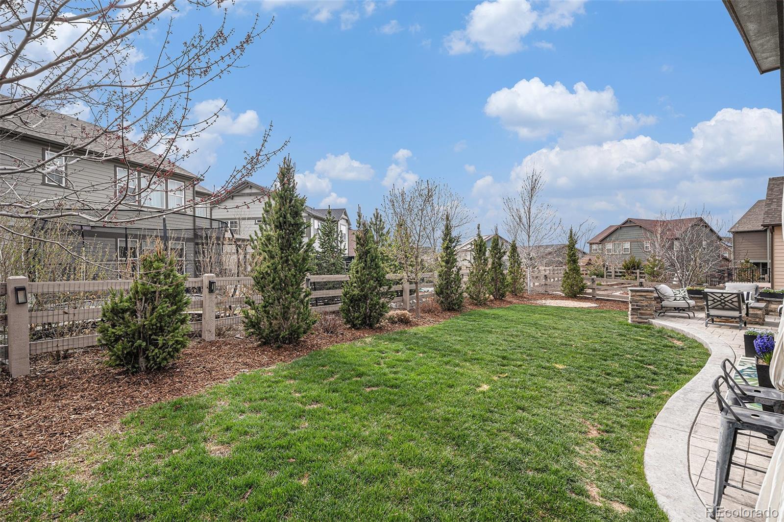 MLS Image #38 for 9342  bear river street,littleton, Colorado
