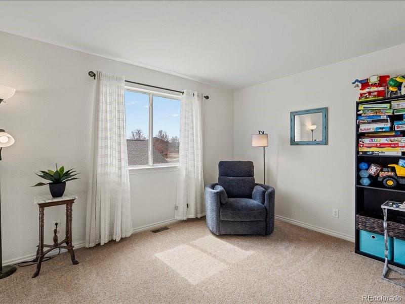 MLS Image #23 for 8346  vivian street,arvada, Colorado