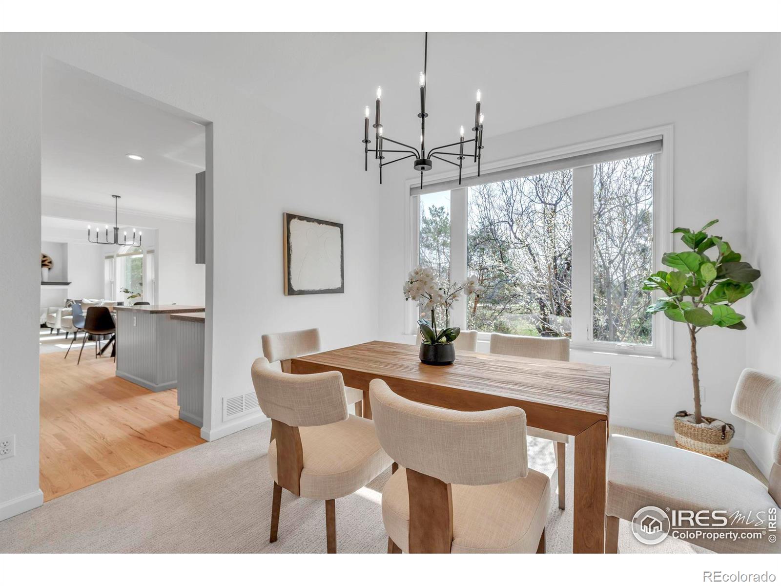 MLS Image #10 for 1456  zinnia circle,lafayette, Colorado