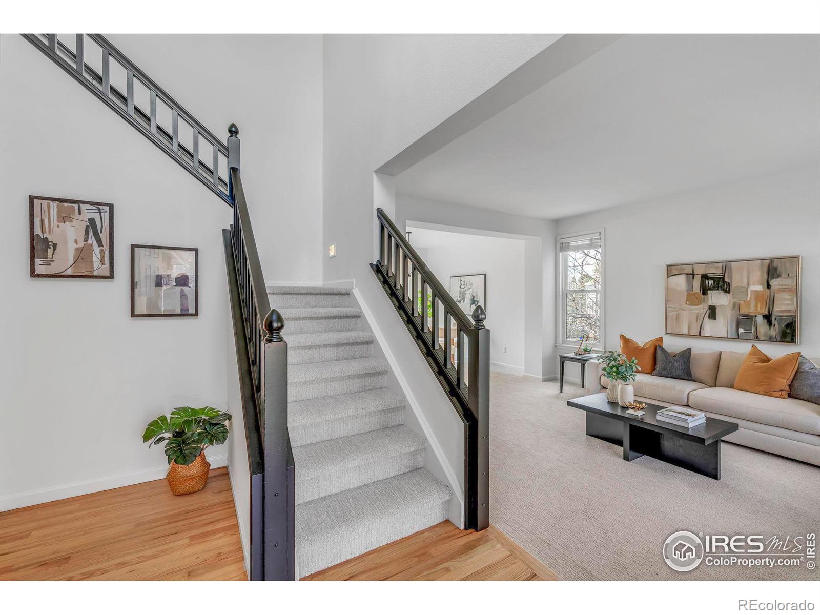 MLS Image #5 for 1456  zinnia circle,lafayette, Colorado