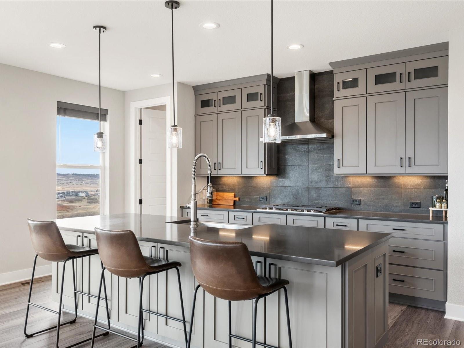 MLS Image #10 for 730  edenborn place,castle rock, Colorado