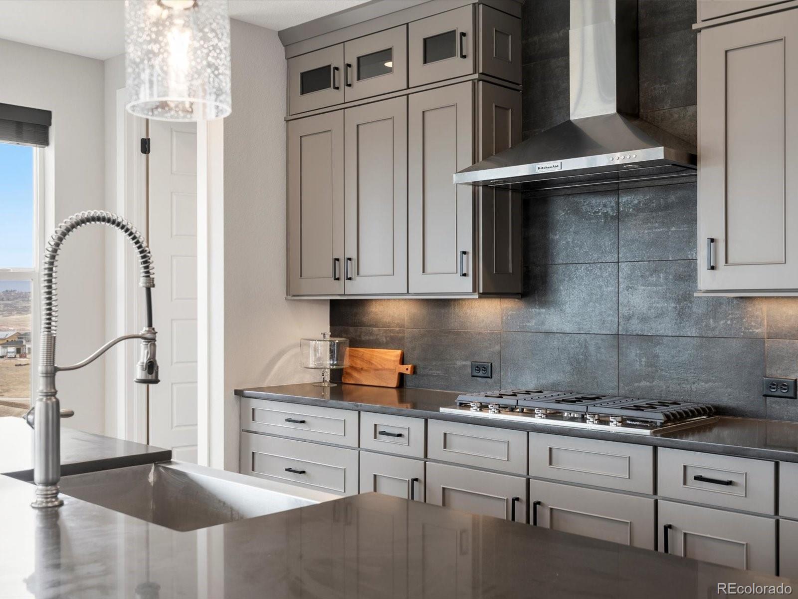 MLS Image #11 for 730  edenborn place,castle rock, Colorado