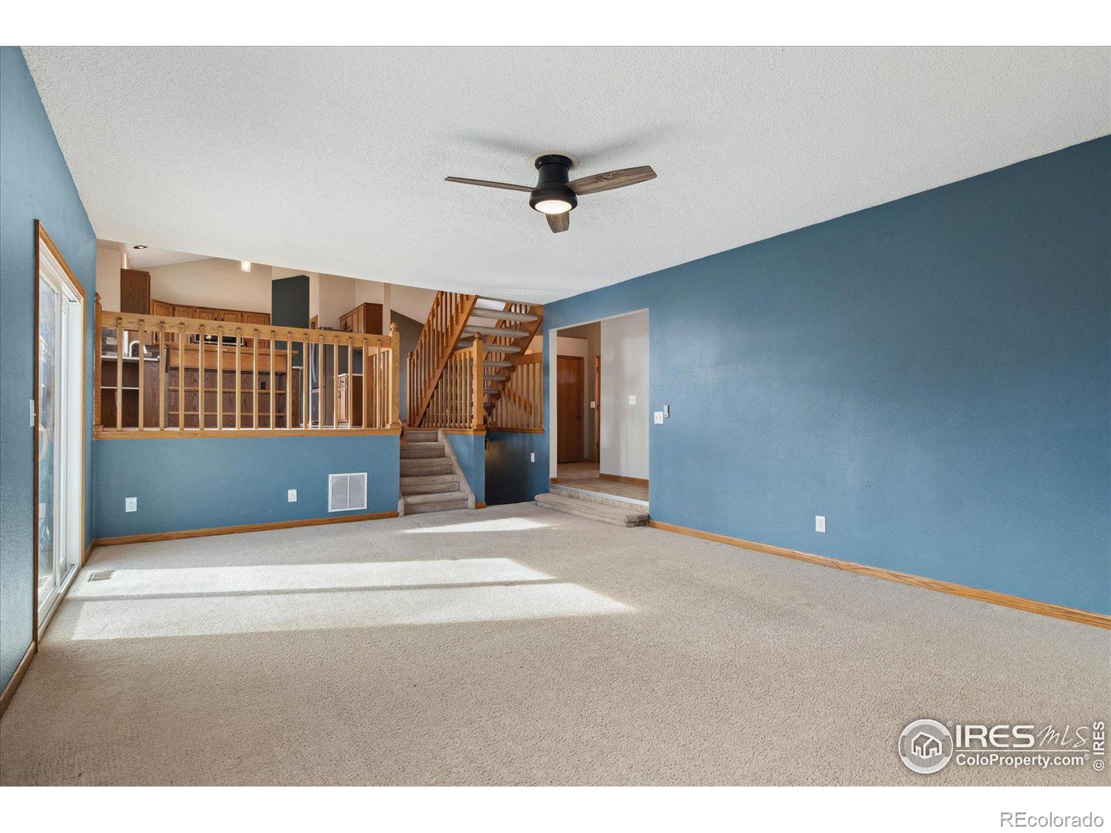MLS Image #12 for 1214  twin peaks circle,longmont, Colorado
