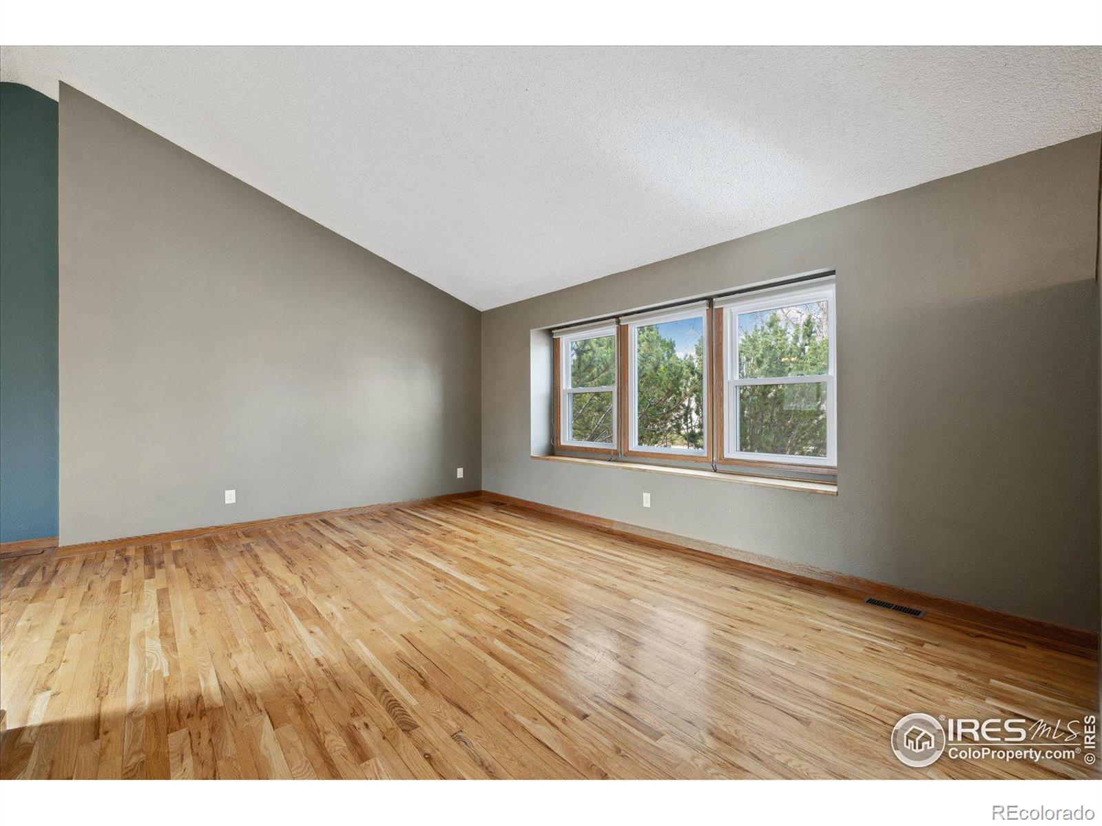 MLS Image #4 for 1214  twin peaks circle,longmont, Colorado