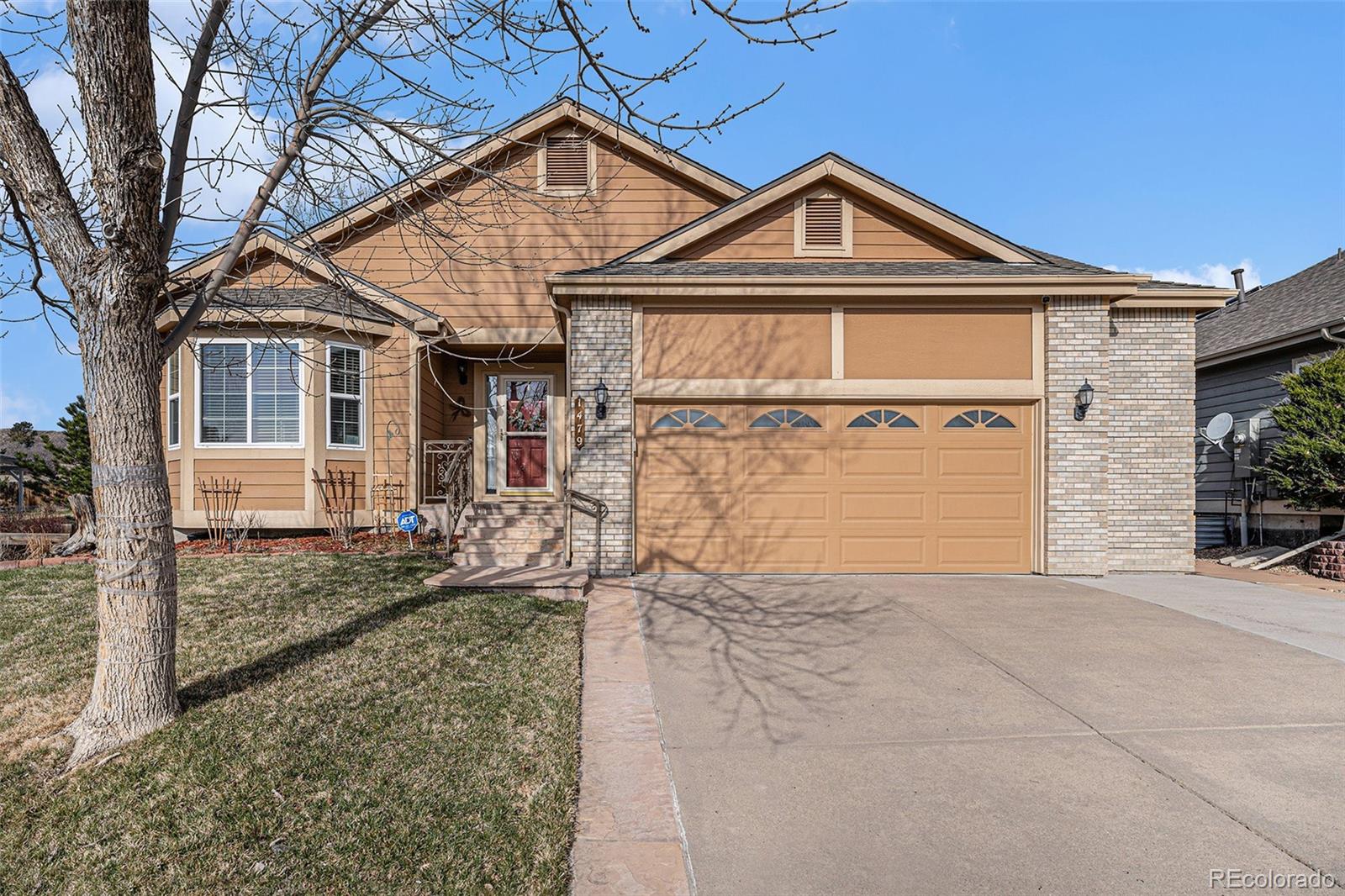 CMA Image for 1479  short grass court,Castle Rock, Colorado