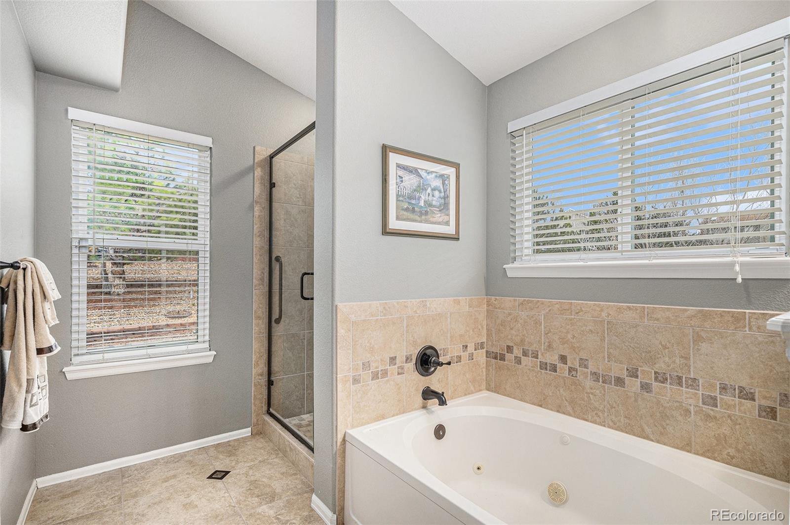 MLS Image #19 for 1479  short grass court,castle rock, Colorado