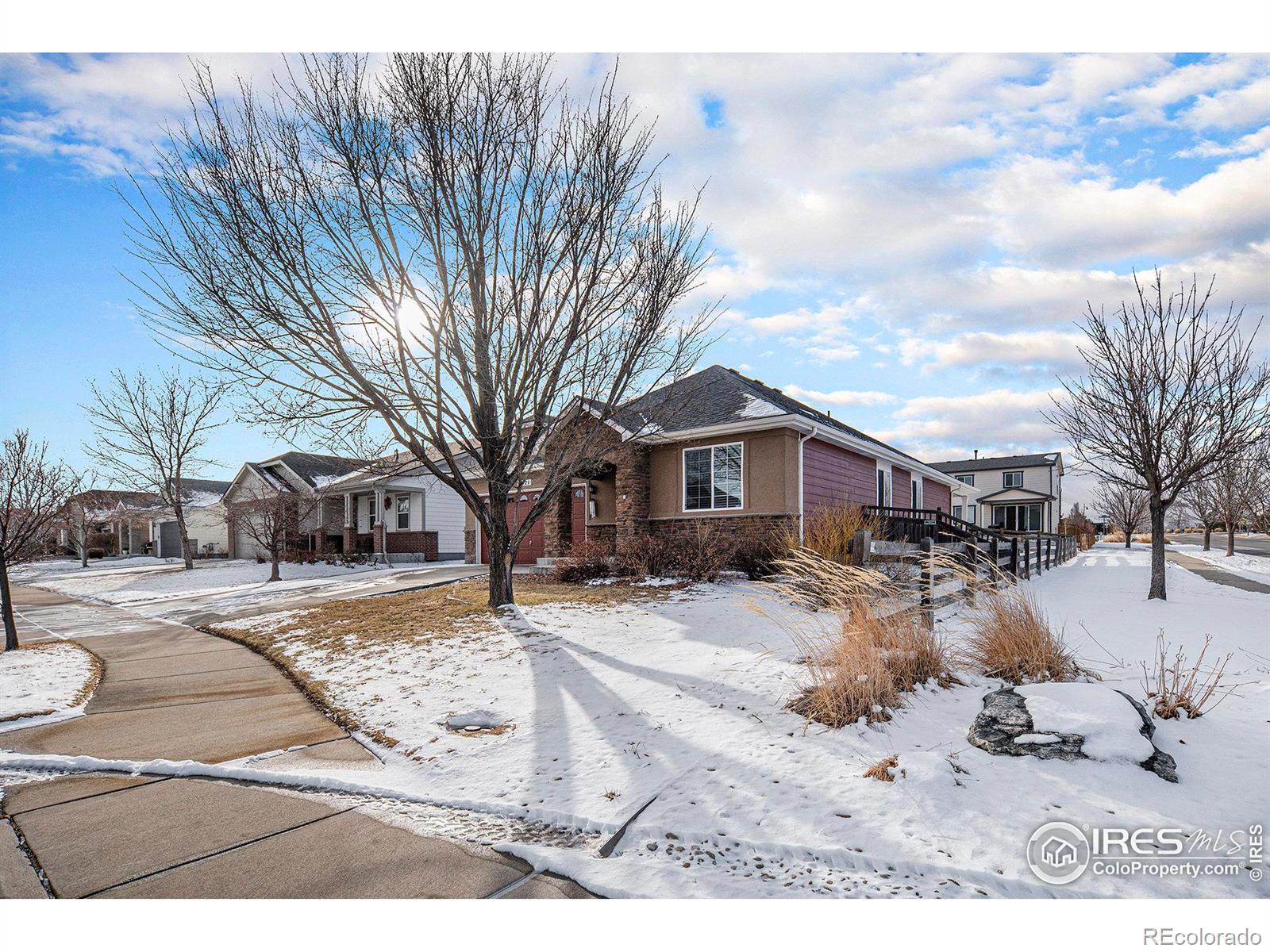 CMA Image for 6321  spring gulch street,Frederick, Colorado