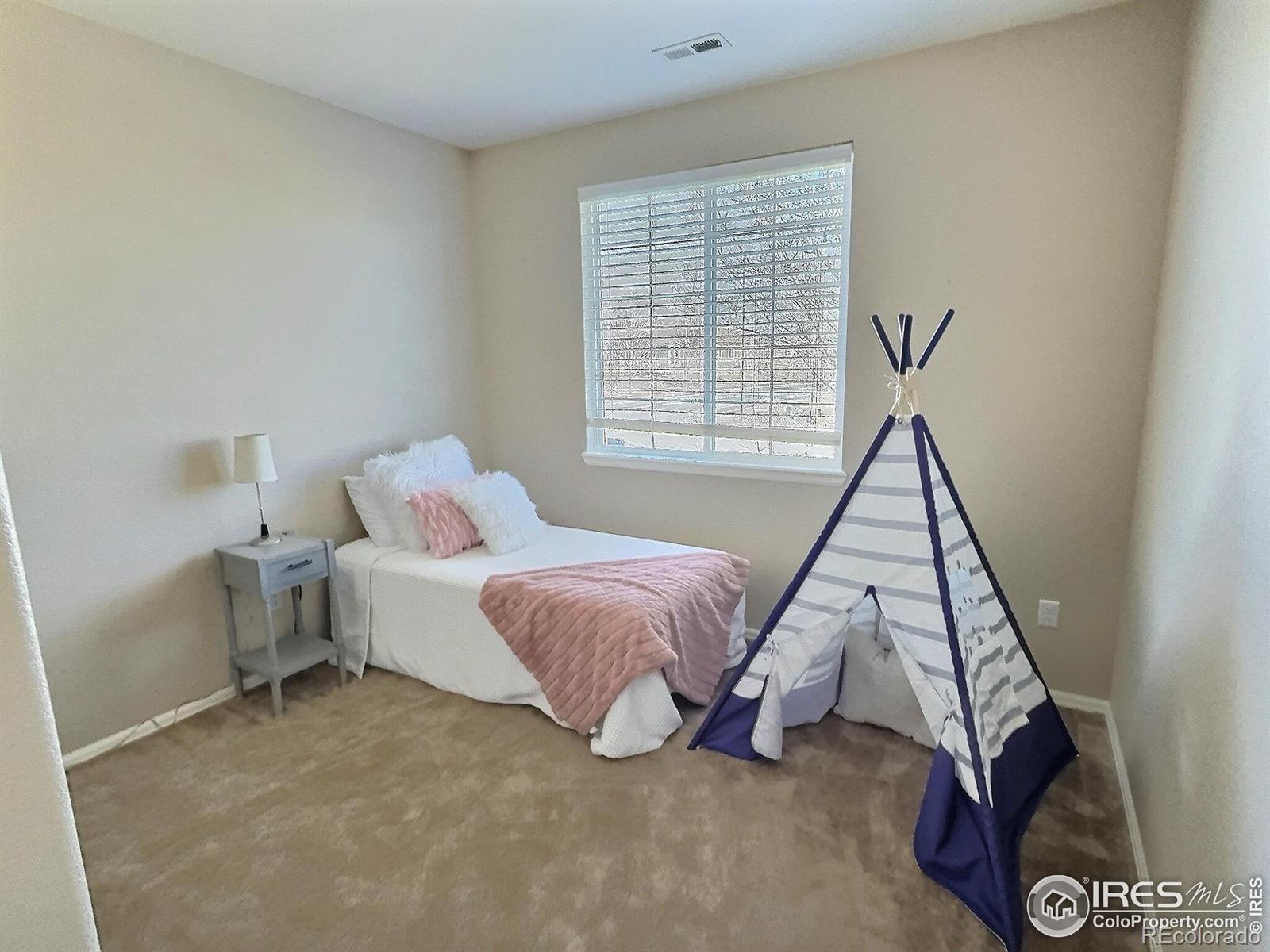 MLS Image #10 for 6321  spring gulch street,frederick, Colorado