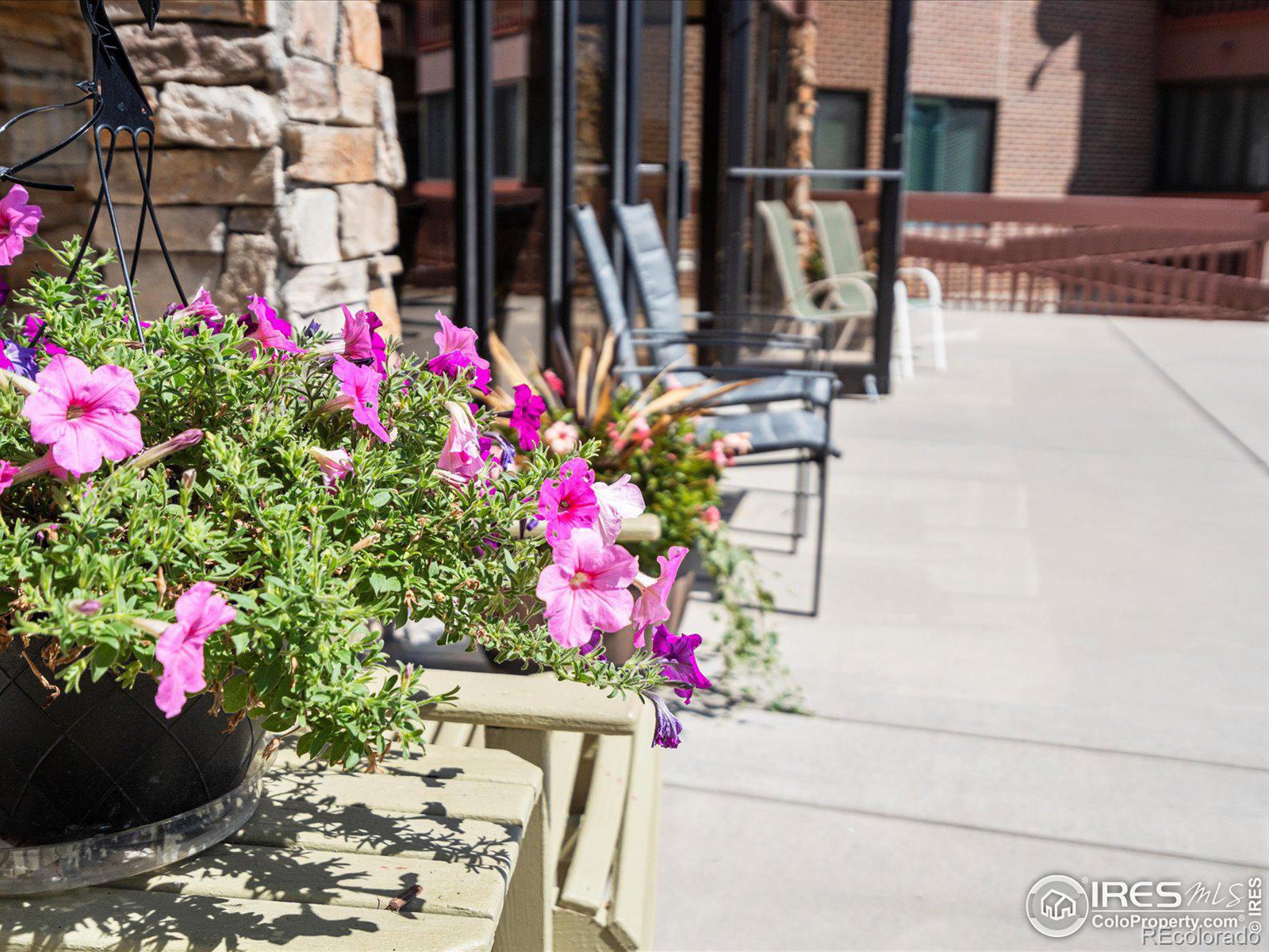 MLS Image #26 for 12565  sheridan boulevard,broomfield, Colorado